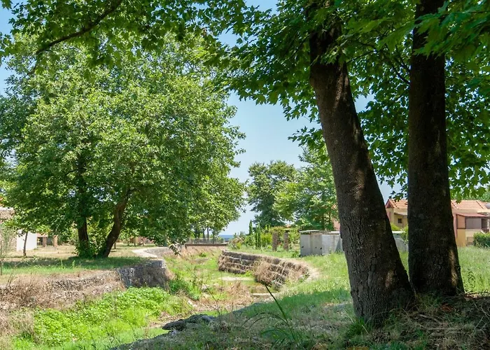 Case de vacanță Modern House