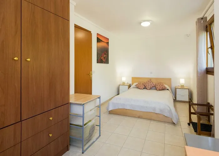 Modern House Case de vacanță